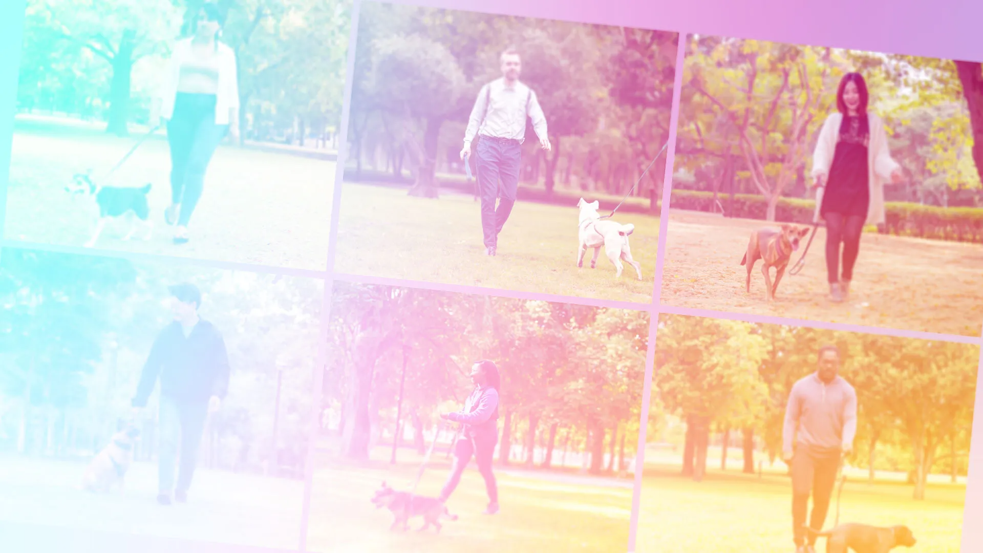 ../_images/image-20240611141910-00vdeck.png