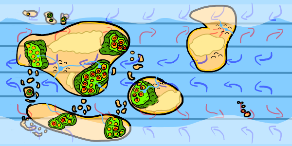 ../_images/image-20240619161223-xgy60pl.png