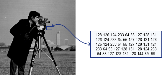 ../_images/image-cameraman.png